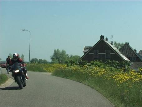 Ooijpolder NL : Ooijse Bandijk, vorbei an blühenden Deichen mit riedgedeckten Häusern